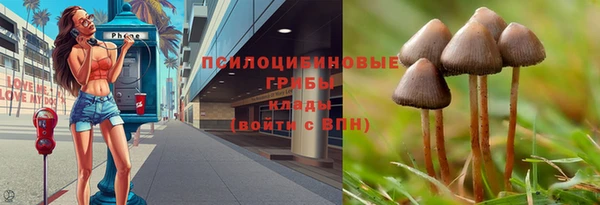 трава Магас