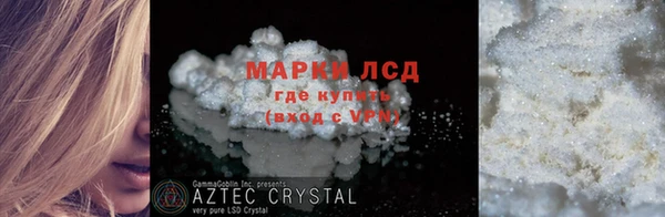 трава Магас