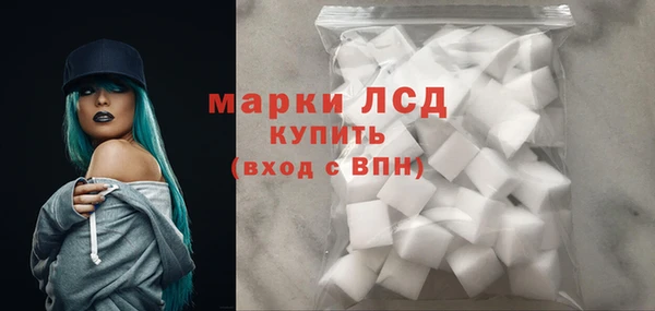 трава Магас