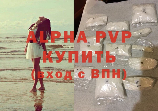 трава Магас