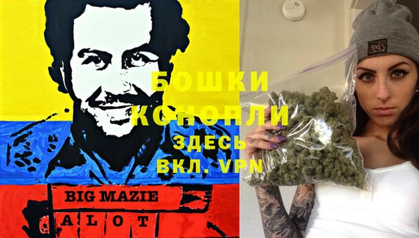 трава Магас