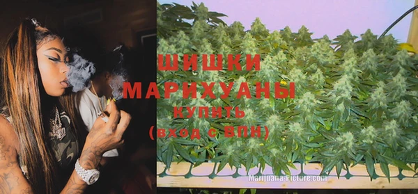 трава Магас